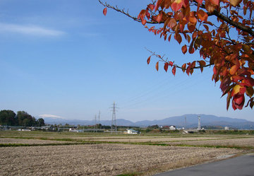 20081106_秋景色.jpg
